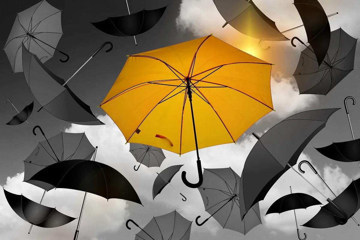 parapluie