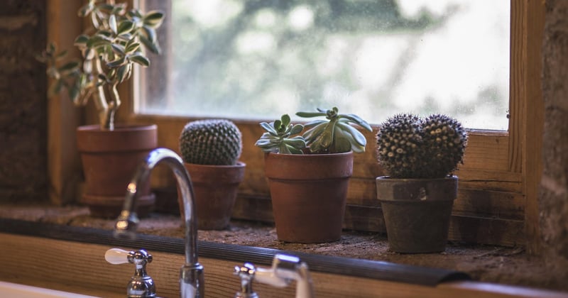 How to Start Composting in a Small Apartment Kitchen: Easy Guide