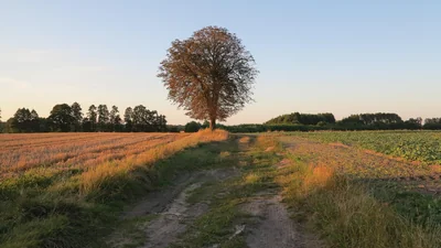 la fin de l'été