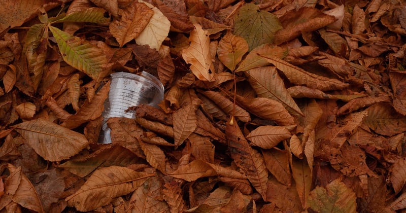 10 Practical Ways to Reduce Plastic Waste in Your Kitchen