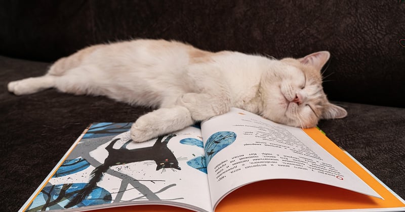 7 Simple Habits to Improve Your Sleep Quality Without Gadgets