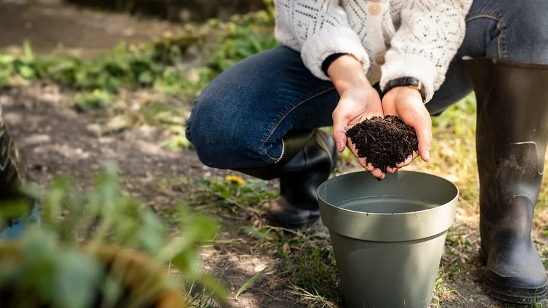 Mistake #2: Skipping Soil Preparation—The Foundation You Can't Ignore