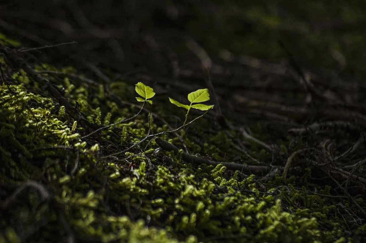 Your Next Steps—Start Small, Think Big