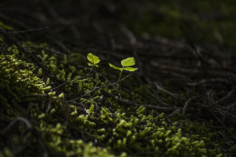 Your Next Steps—Start Small, Think Big