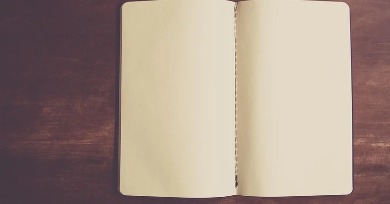 Plot, Prose, and the Space Between